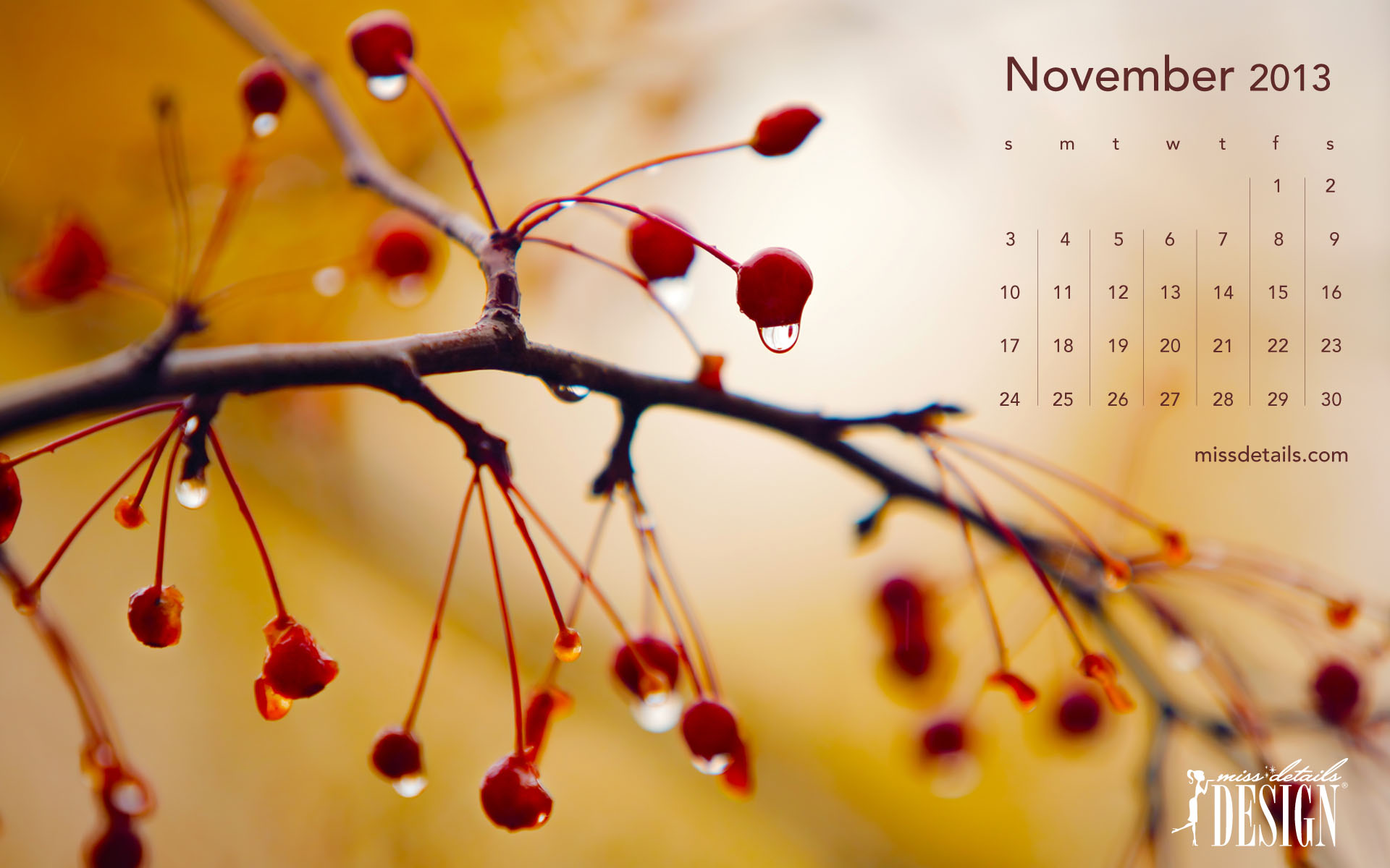 November Calendar Images