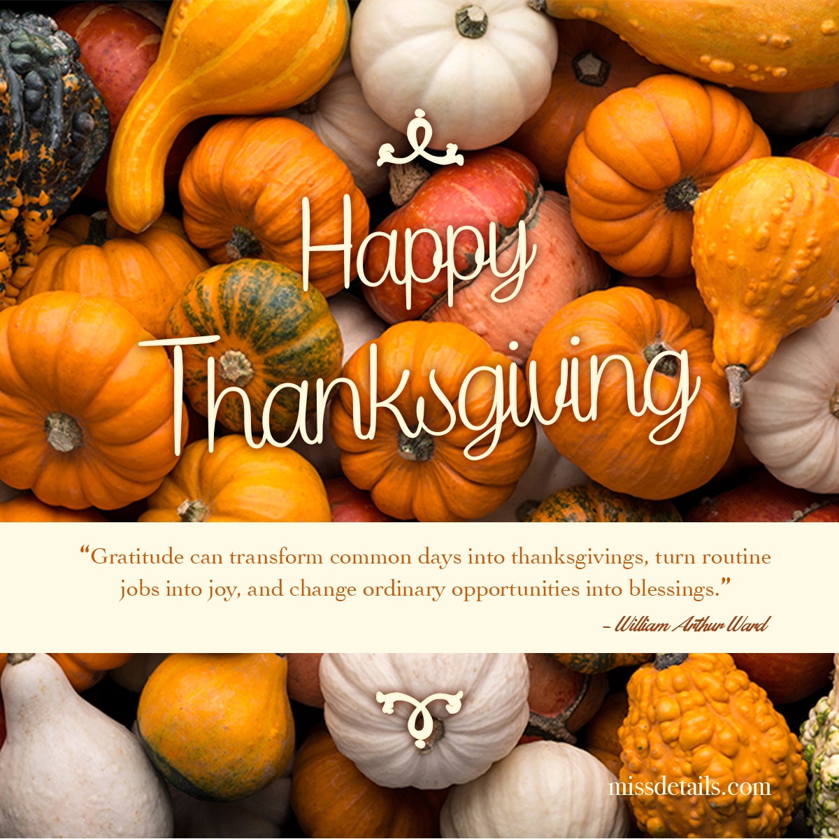 Pin by Quotes Collection Daily Update on Happy Thanksgiving Day