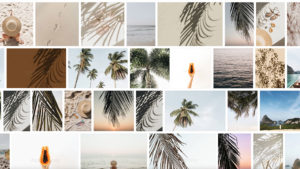 style stock images for social media posts
