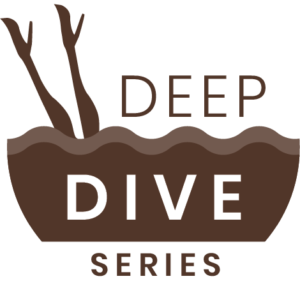 miss details deep dive blog series