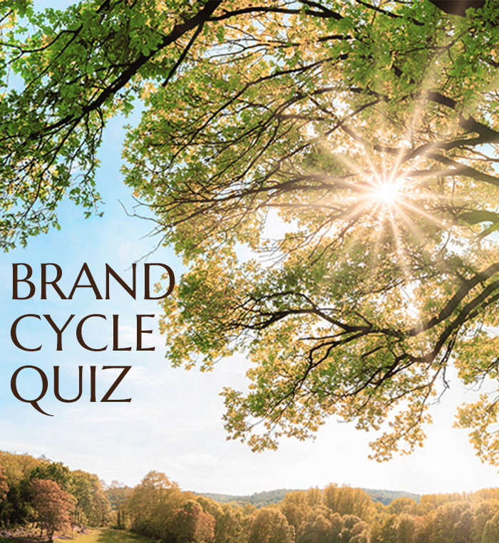 brand cycle quiz